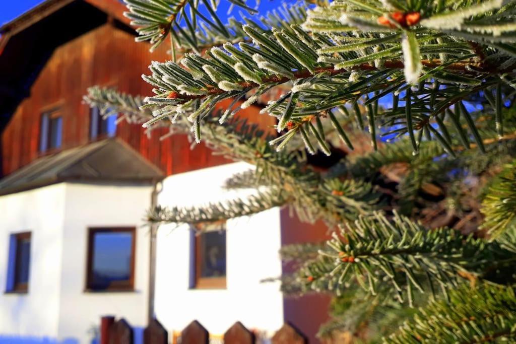 "Stone'S Throw" Krumlov 5 Min By Car, Lipno 15 Min By Car, 2 Bdrooms,Playroom Kajov Екстер'єр фото